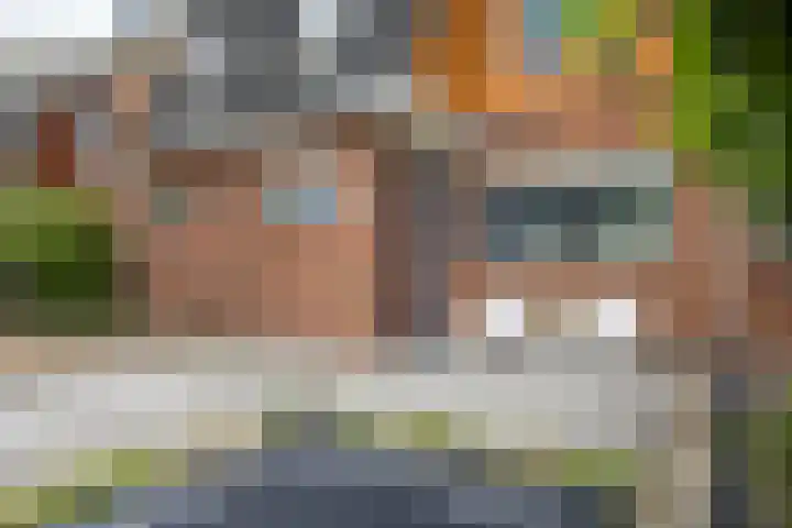 Draagmuur 74 Houten thumbnail 4