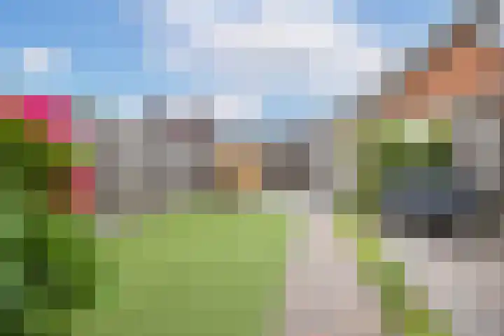 Draagmuur 74 Houten thumbnail 42