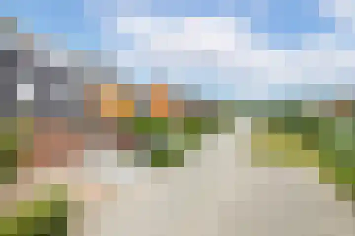 Draagmuur 74 Houten thumbnail 45