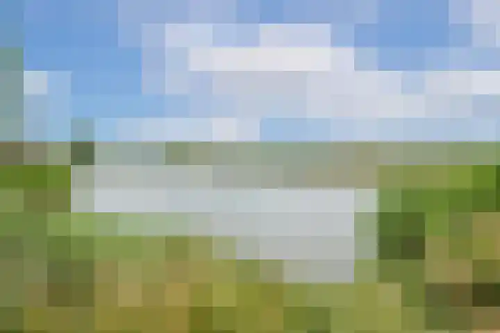 Draagmuur 74 Houten thumbnail 47
