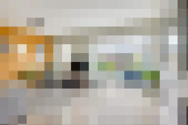 Draagmuur 74 Houten thumbnail 6