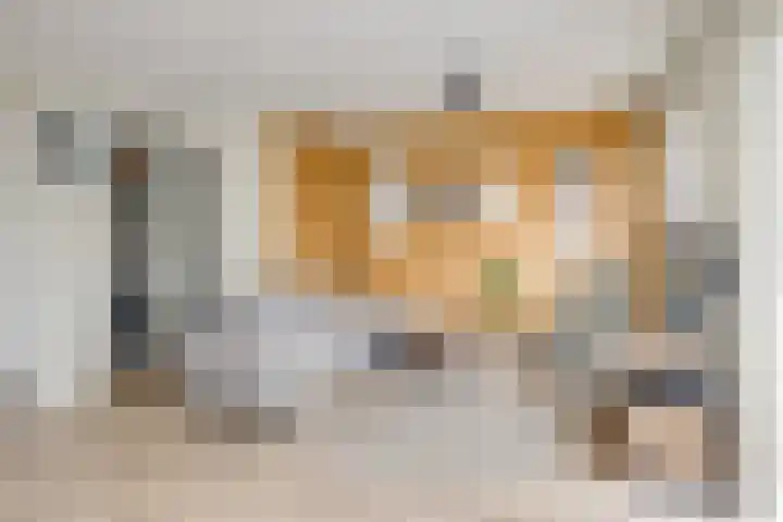 Draagmuur 74 Houten thumbnail 8