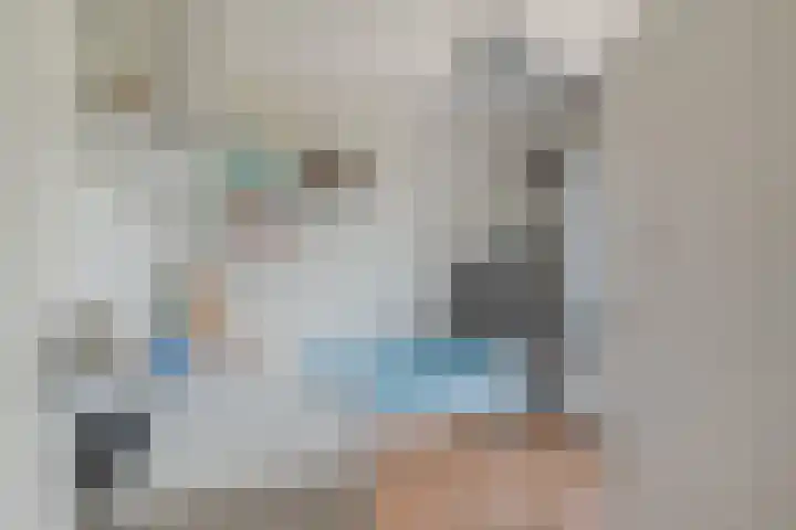 Draagmuur 86 Houten thumbnail 12