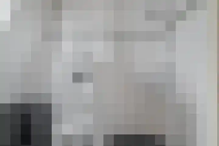 Draagmuur 86 Houten thumbnail 15