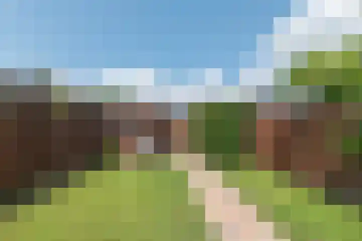 Draagmuur 86 Houten thumbnail 21