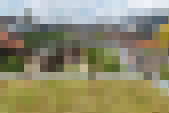 Draagmuur 86 Houten thumbnail 23