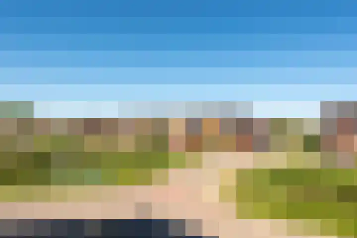 Draagmuur 86 Houten thumbnail 26