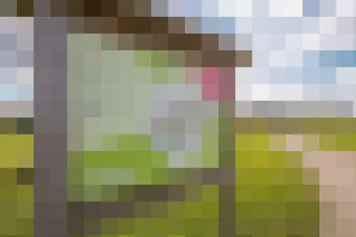 Draagmuur 86 Houten thumbnail 27