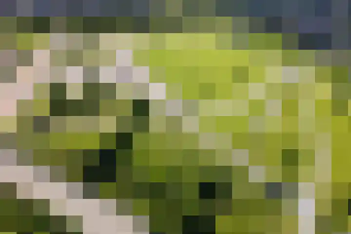Draagmuur 86 Houten thumbnail 28