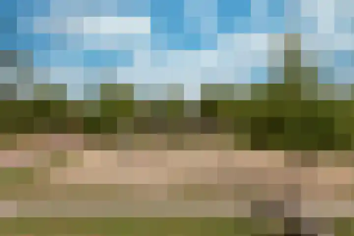 Draagmuur 86 Houten thumbnail 29