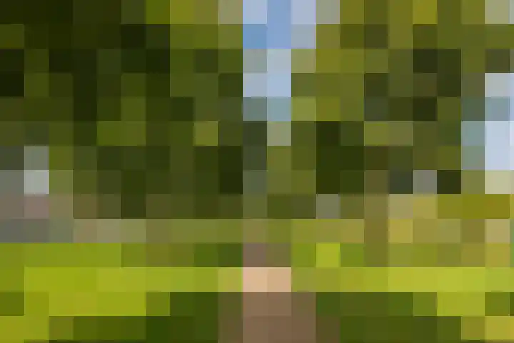 Draagmuur 86 Houten thumbnail 30