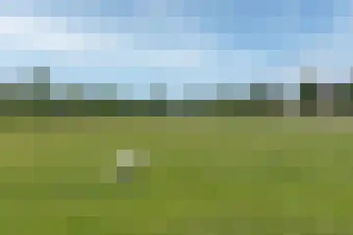 Draagmuur 86 Houten thumbnail 33