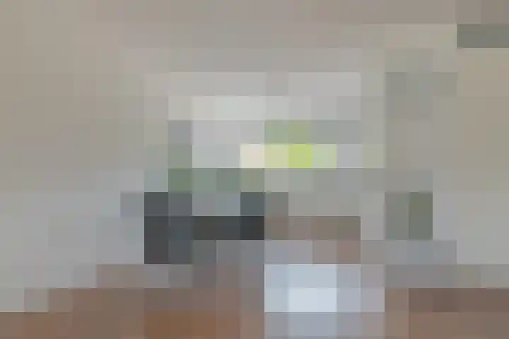 Draagmuur 86 Houten thumbnail 5