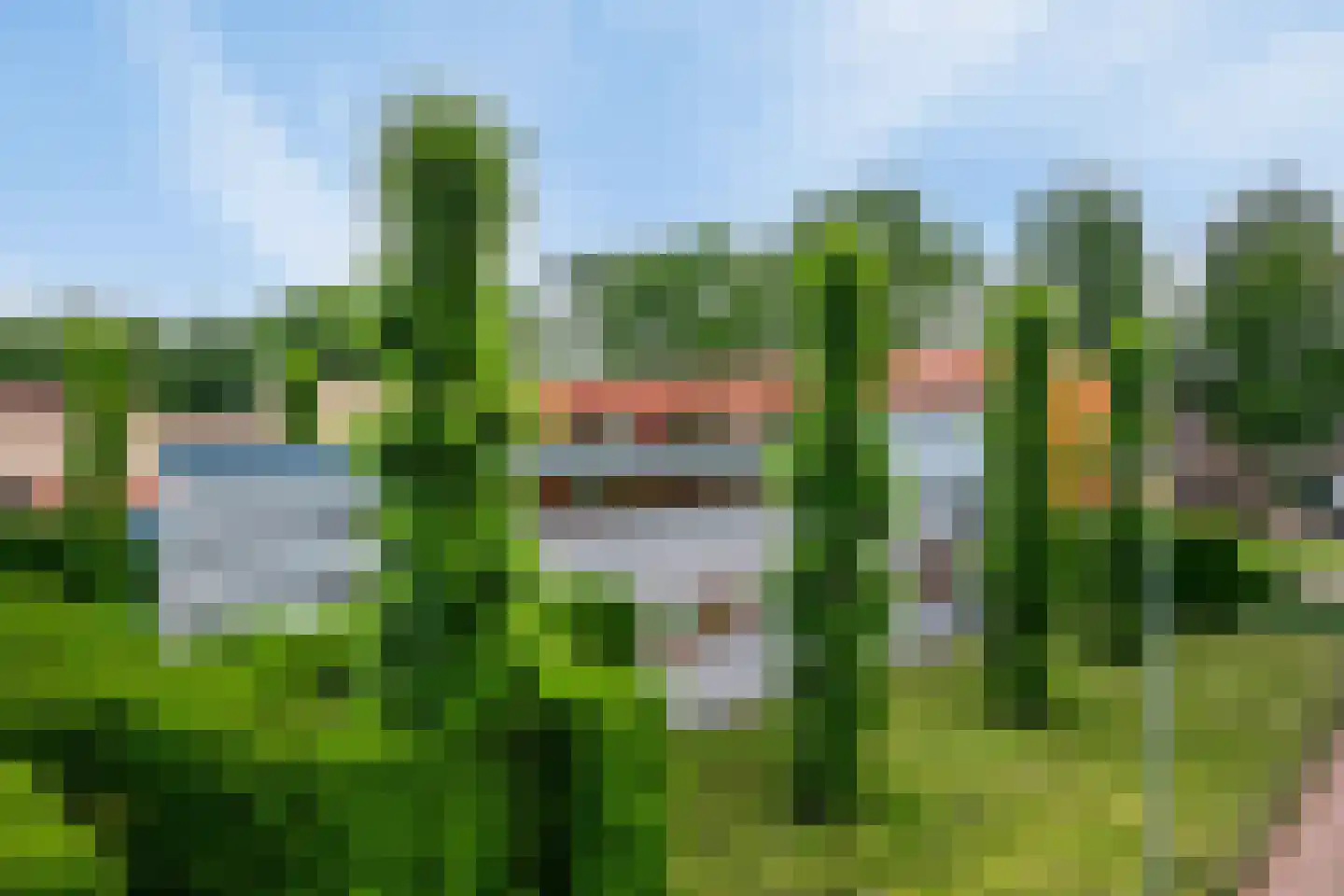 Draagsteen 8 Borger thumbnail 10