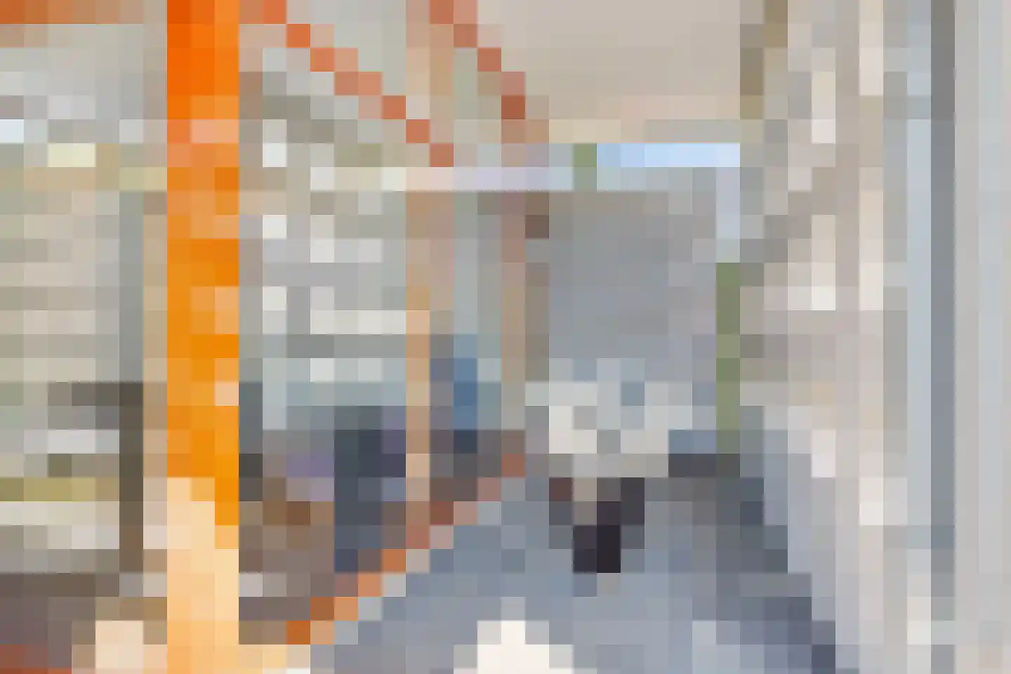 Draagsteen 8 Borger thumbnail 21