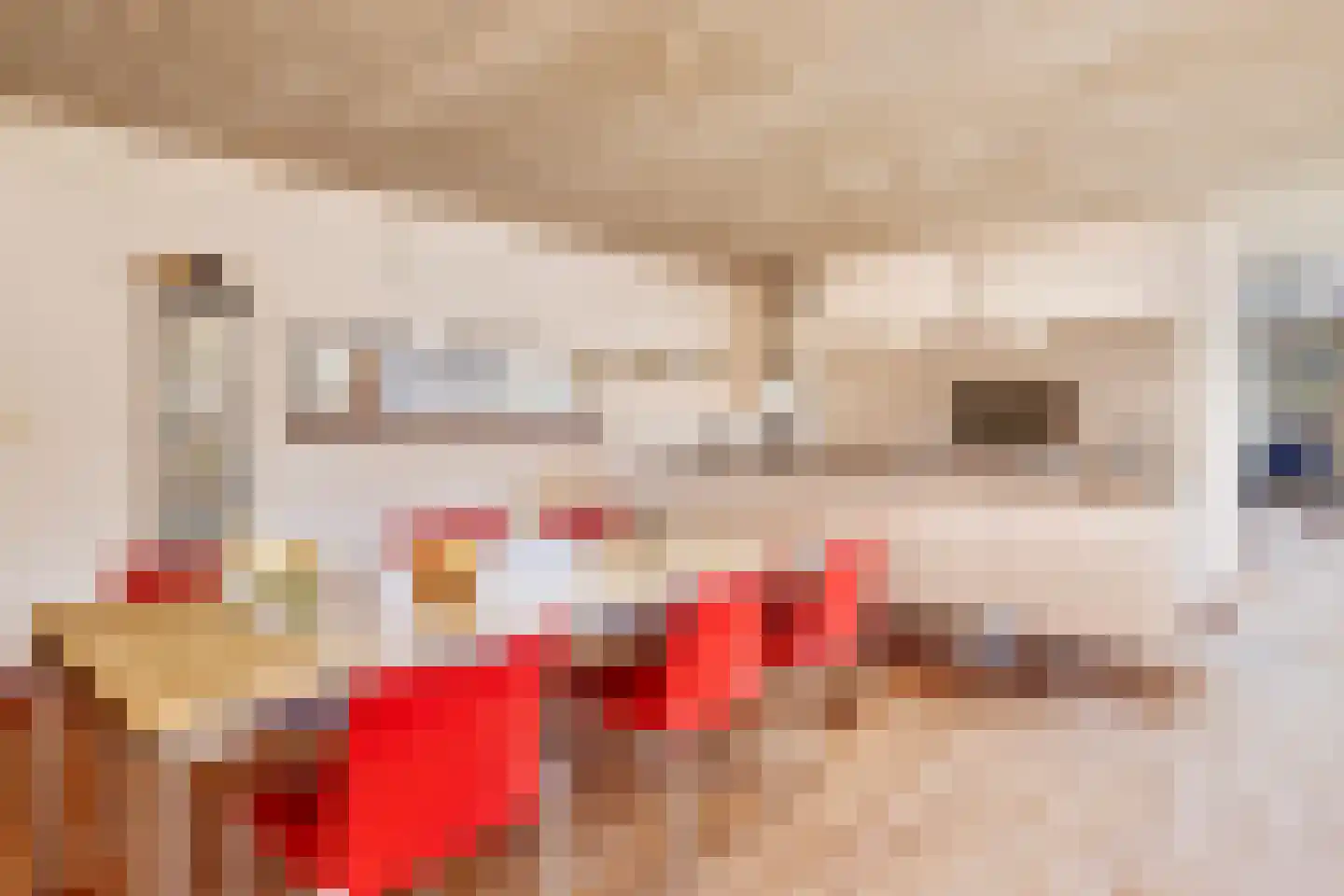 Draagsteen 8 Borger thumbnail 24