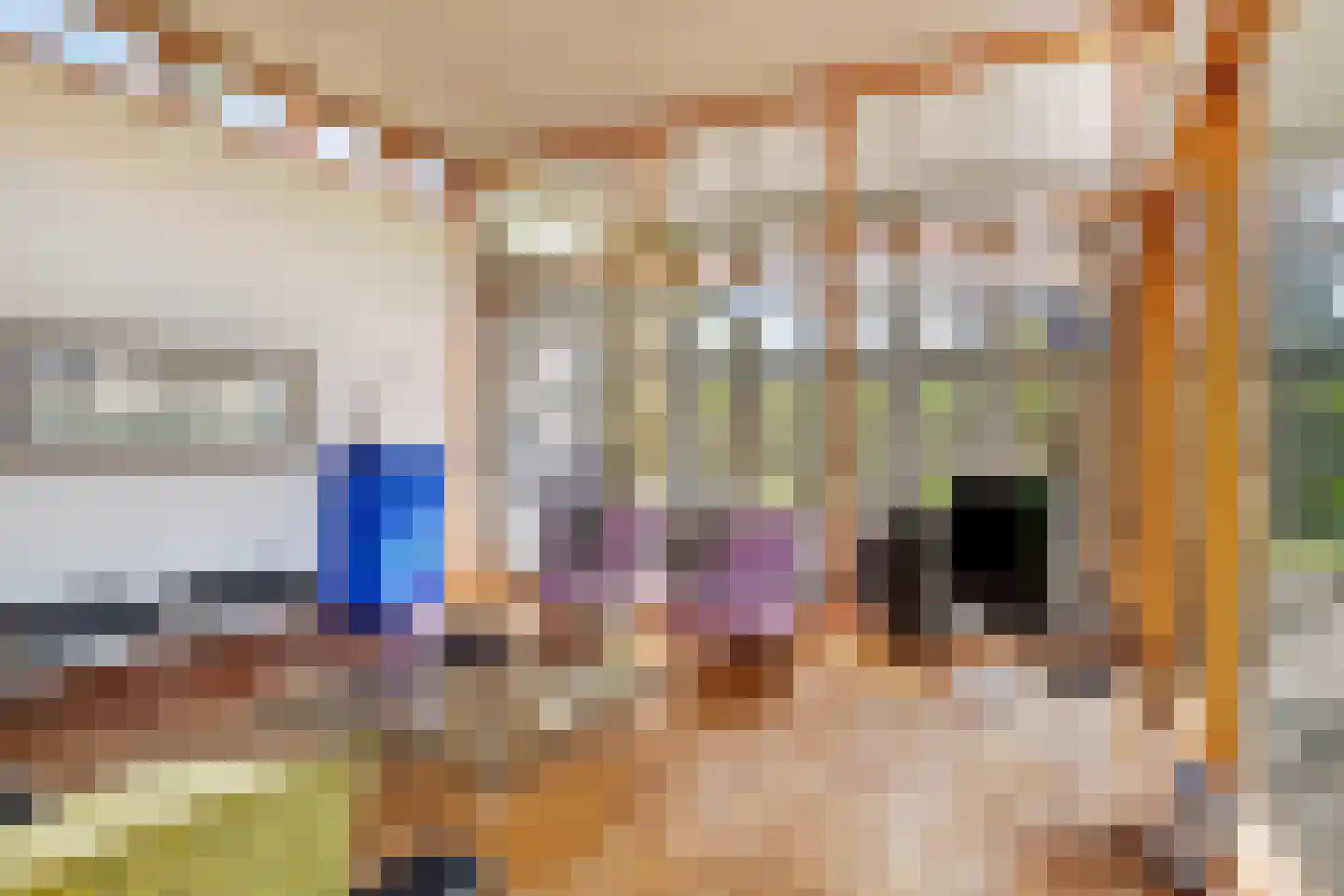 Draagsteen 8 Borger thumbnail 29