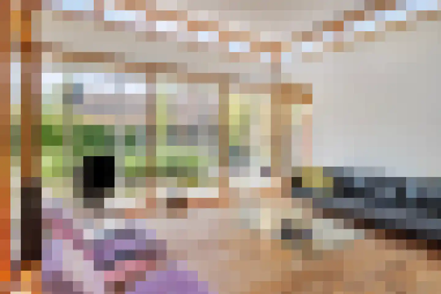 Draagsteen 8 Borger thumbnail 30