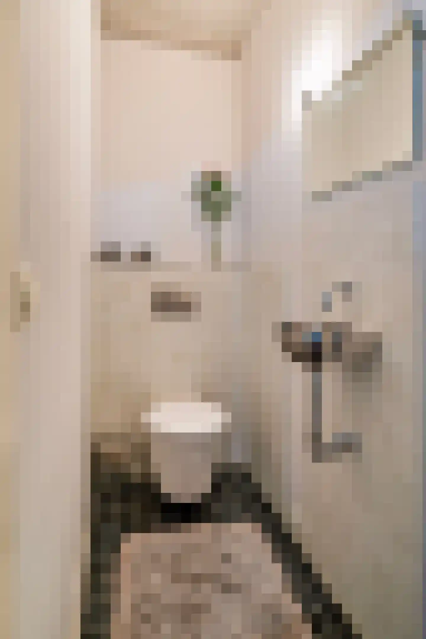 Draagsteen 8 Borger thumbnail 32