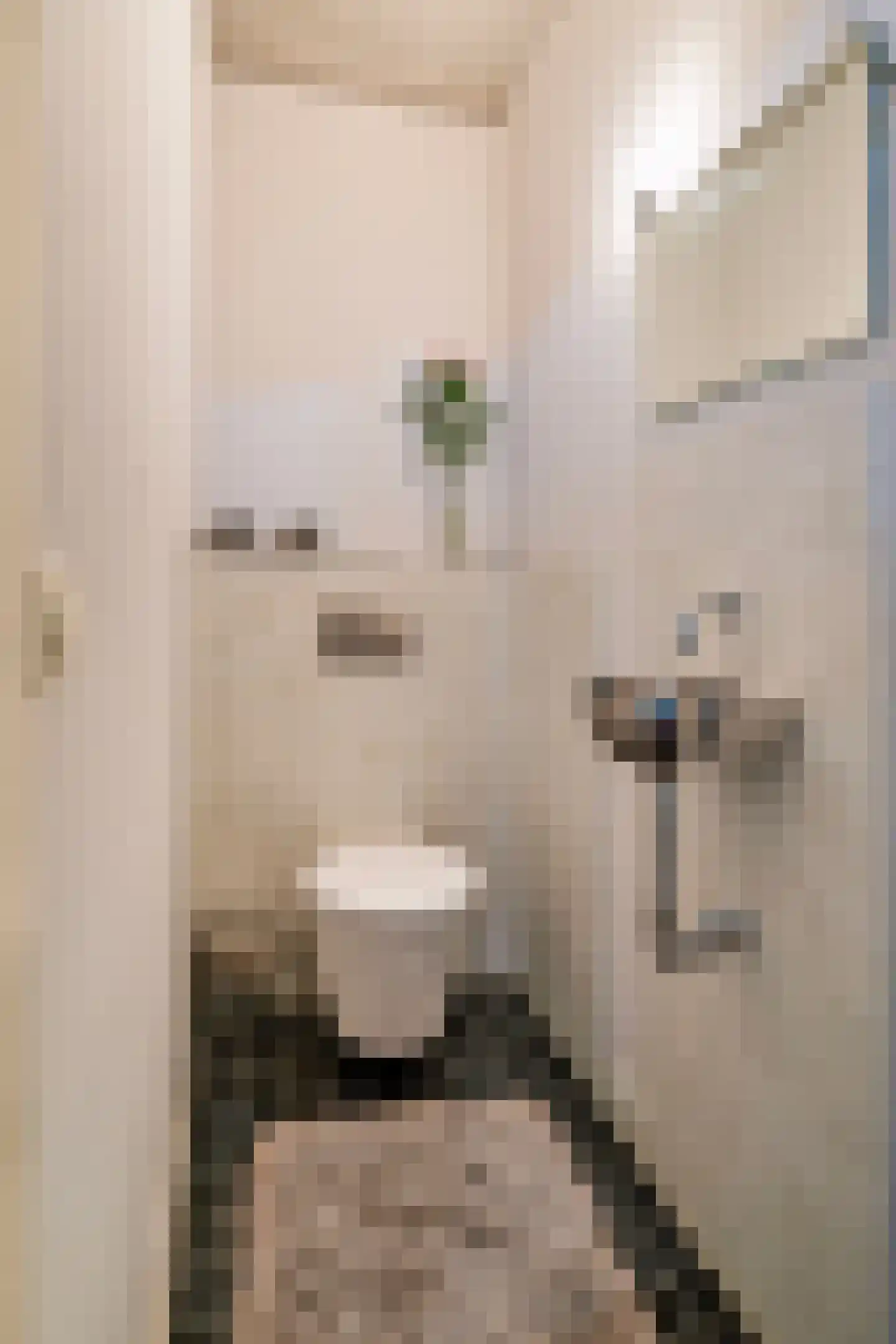 Draagsteen 8 Borger thumbnail 33