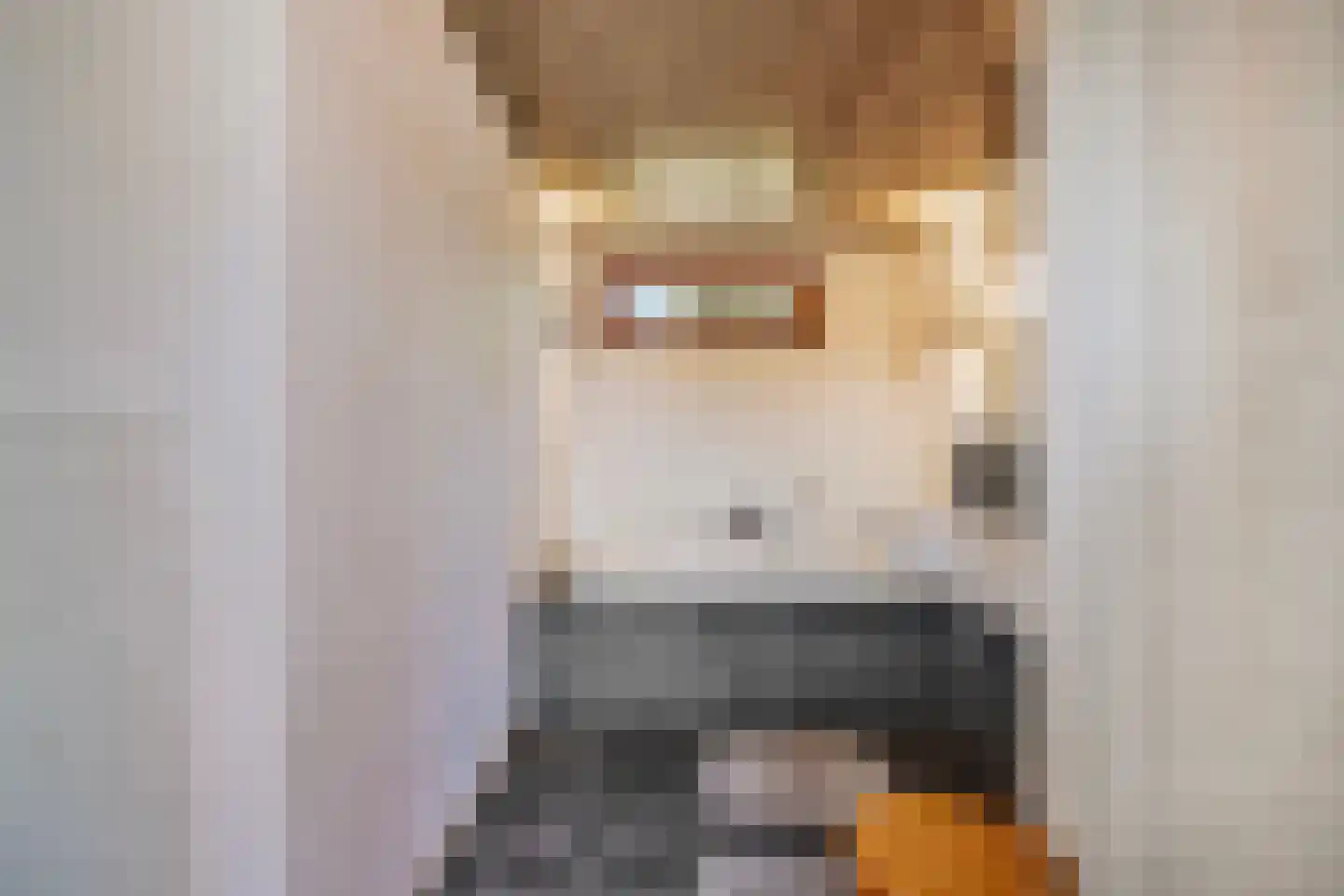 Draagsteen 8 Borger thumbnail 40
