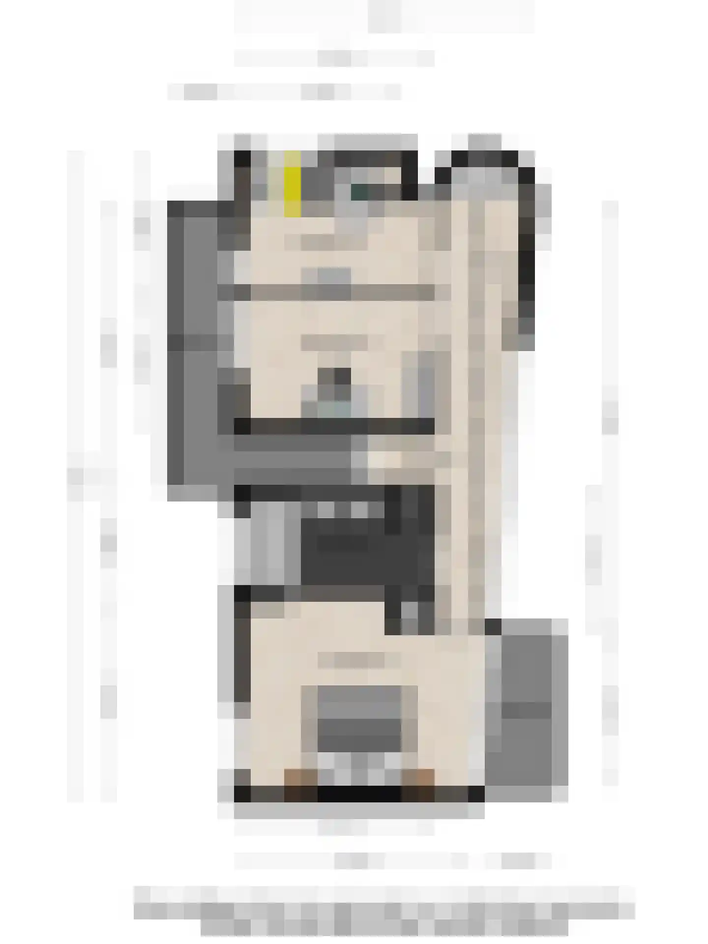 Draagsteen 8 Borger thumbnail 43