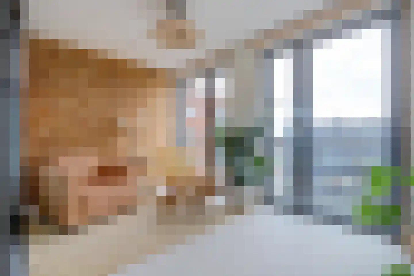 Draai 113 Dordrecht thumbnail 4