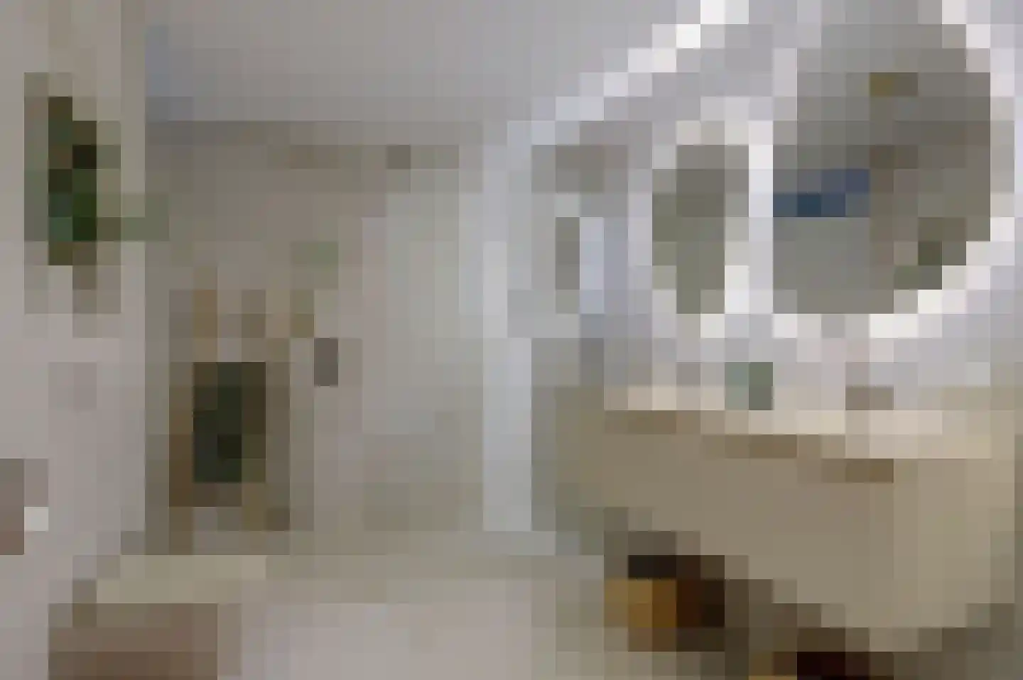 Draai 113 Dordrecht thumbnail 8