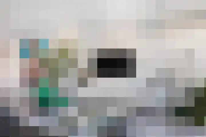 Draai 69 Dordrecht thumbnail 16