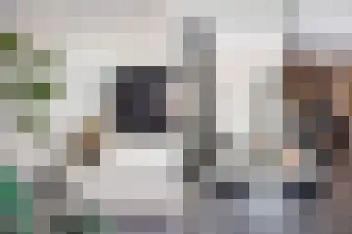 Draai 69 Dordrecht thumbnail 17