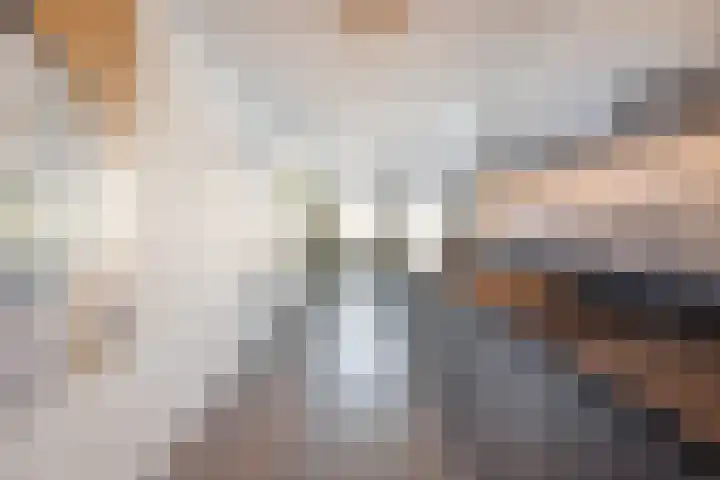 Draai 69 Dordrecht thumbnail 23