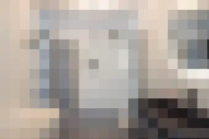 Draai 69 Dordrecht thumbnail 5