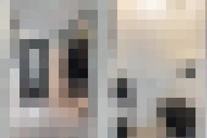 Draai 69 Dordrecht thumbnail 9