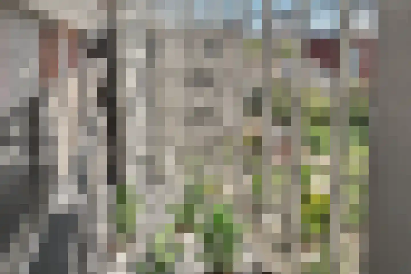 Draai 91 Dordrecht thumbnail 41