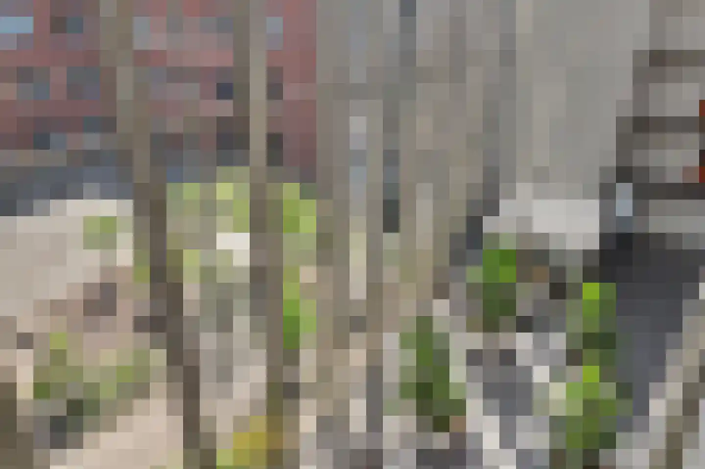 Draai 91 Dordrecht thumbnail 43