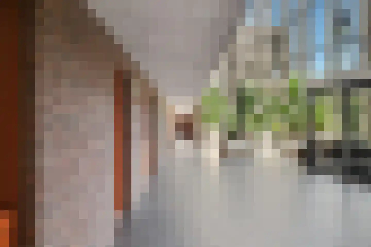 Draai 91 Dordrecht thumbnail 6