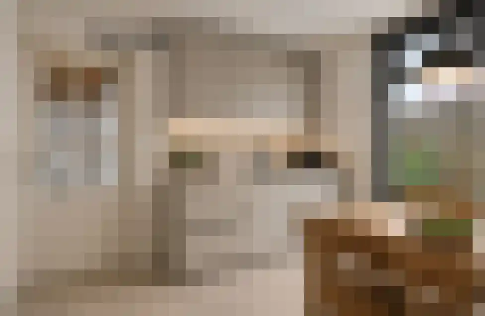 Draaiboom 14 Lage Mierde thumbnail 10