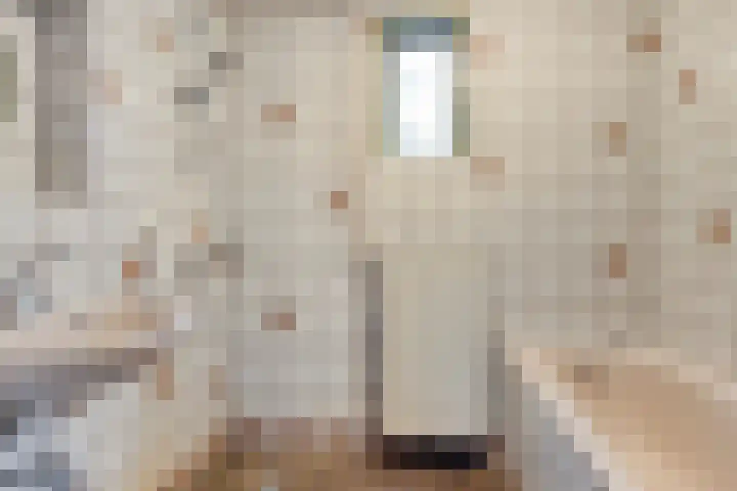 Draaiboom 14 Lage Mierde thumbnail 13
