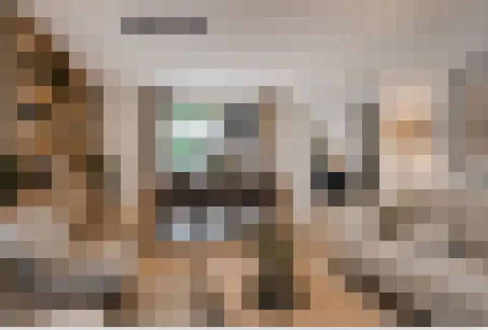 Draaiboom 14 Lage Mierde thumbnail 14