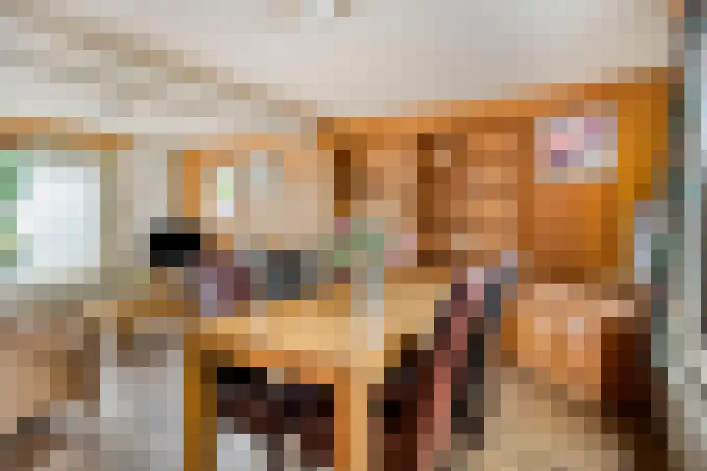 Draaiboom 14 Lage Mierde thumbnail 15