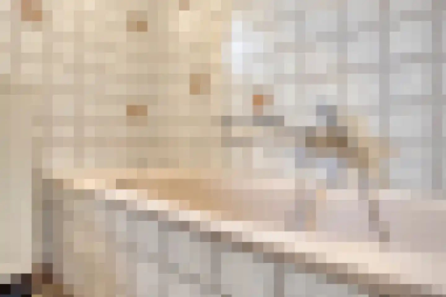 Draaiboom 14 Lage Mierde thumbnail 19