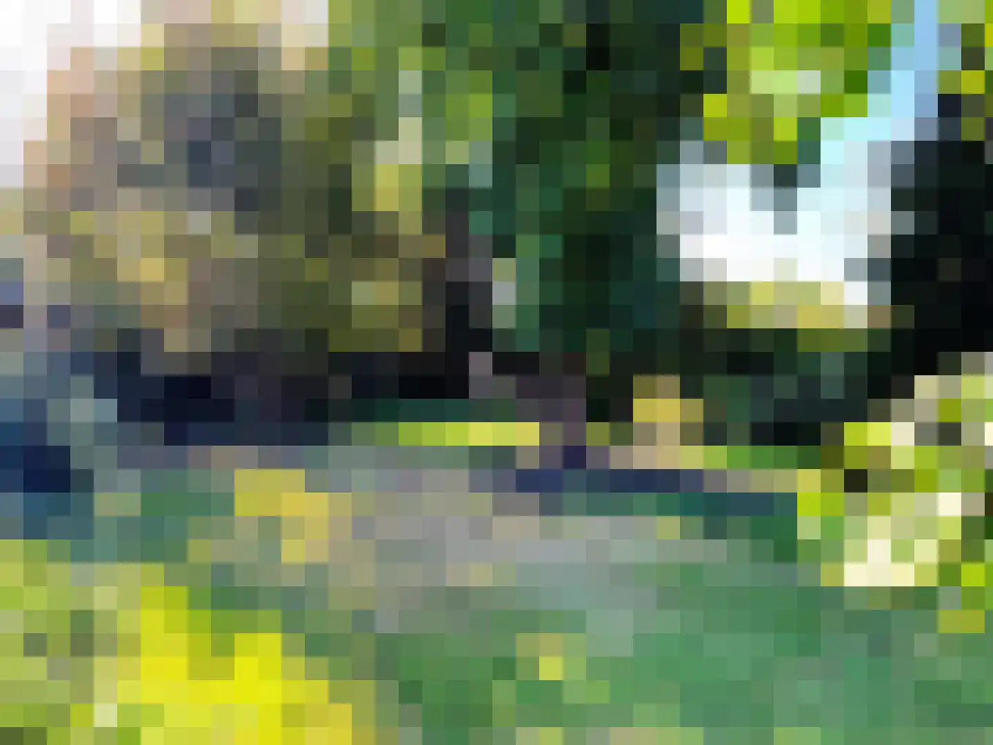 Draaiboom 14 Lage Mierde thumbnail 20