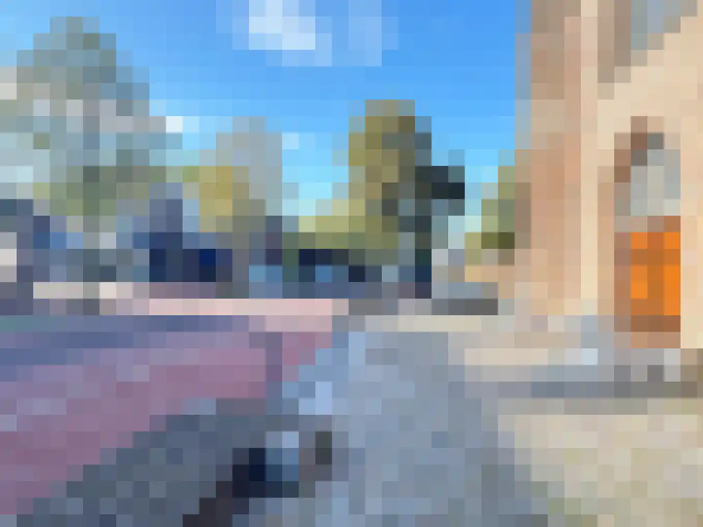 Draaiboom 14 Lage Mierde thumbnail 23