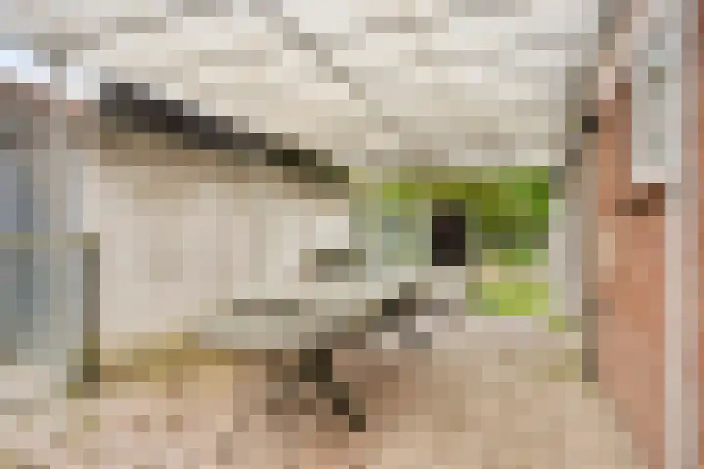 Draaiboom 14 Lage Mierde thumbnail 29