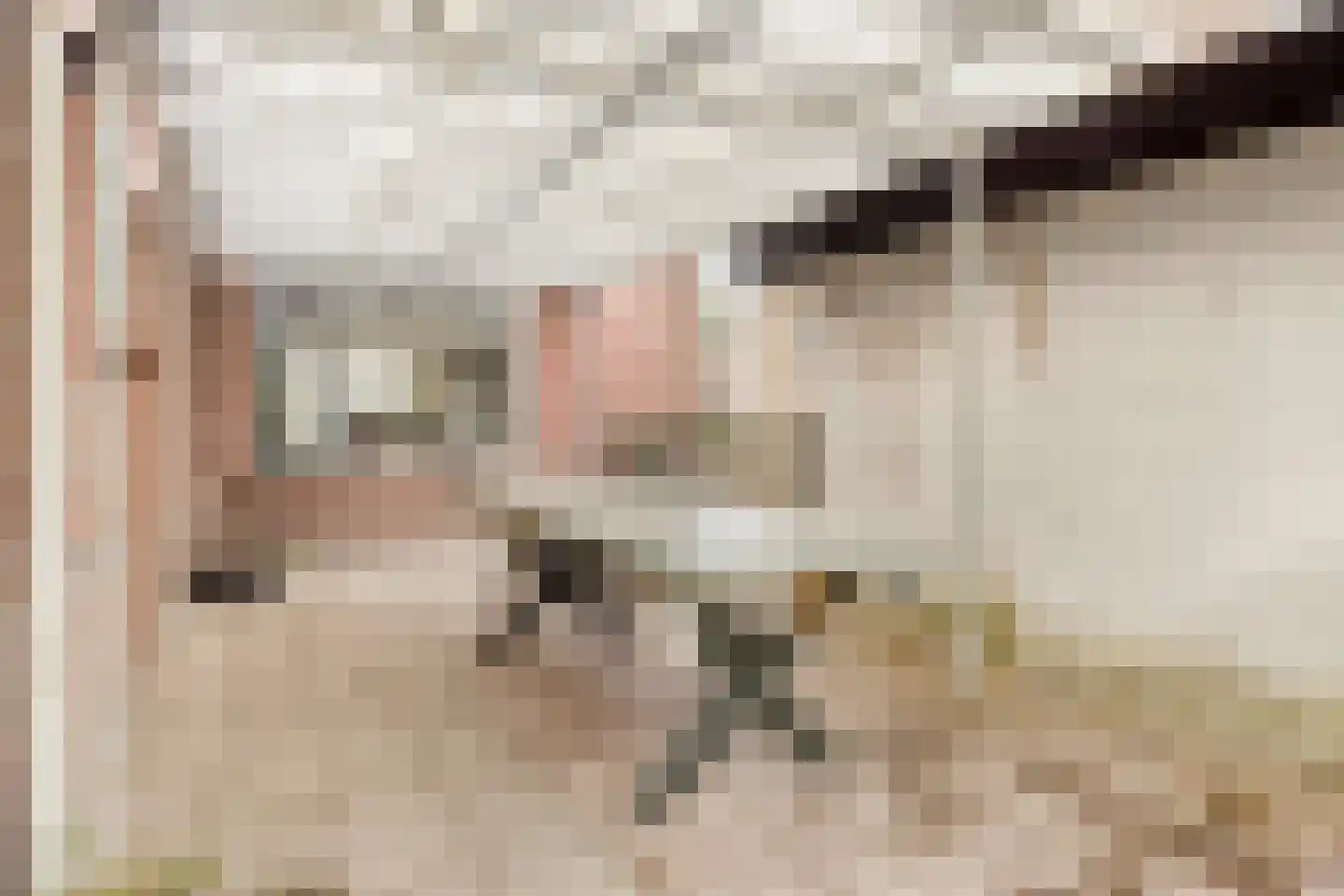 Draaiboom 14 Lage Mierde thumbnail 30