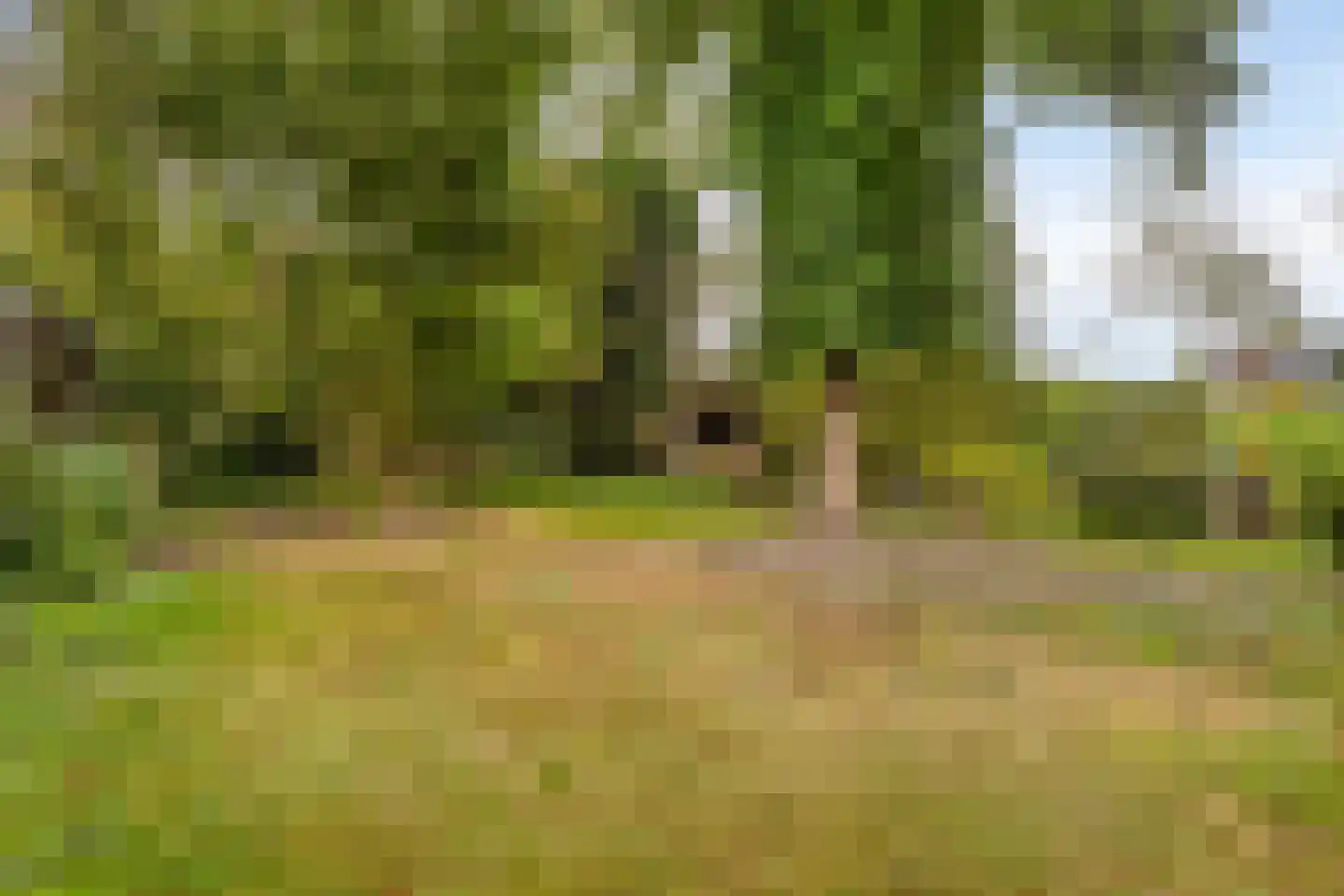 Draaiboom 14 Lage Mierde thumbnail 32