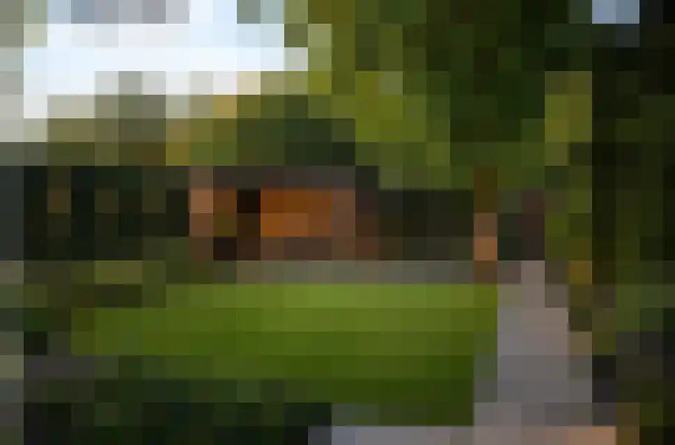 Draaiboom 14 Lage Mierde thumbnail 34