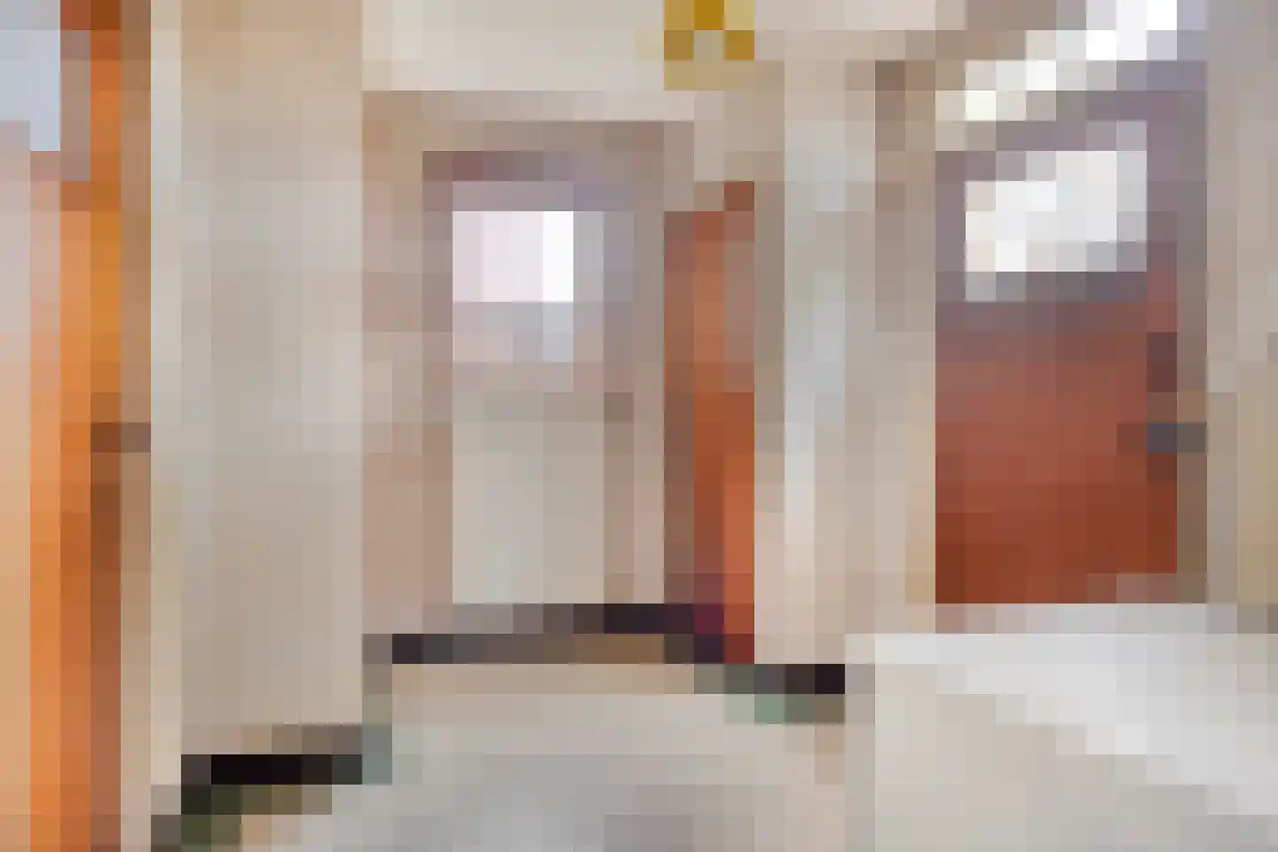 Draaiboom 14 Lage Mierde thumbnail 4
