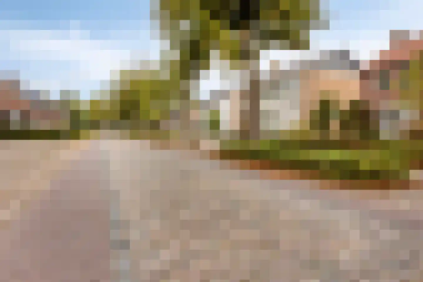 Draaiboom 14 Lage Mierde thumbnail 4
