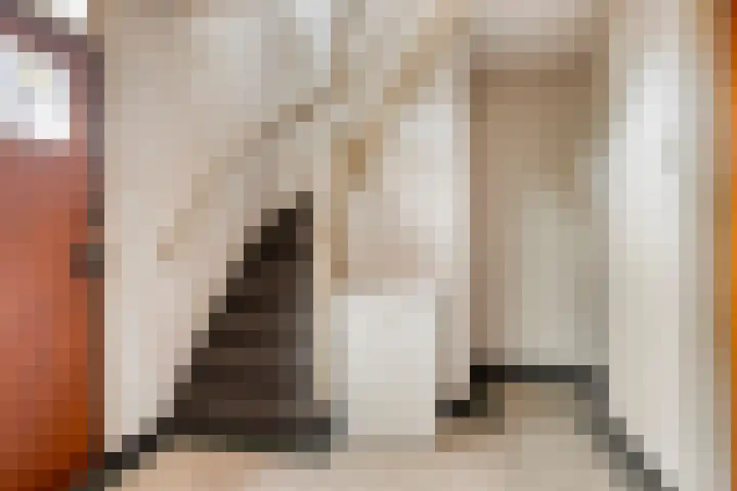 Draaiboom 14 Lage Mierde thumbnail 6